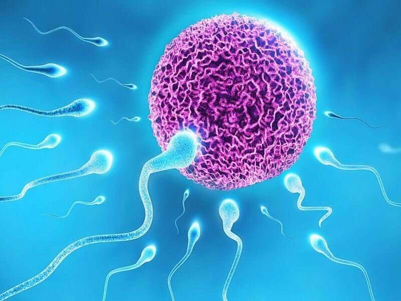 Understanding Infertility in Men and Women