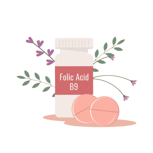 What is Folic Acid and Why is it Important?