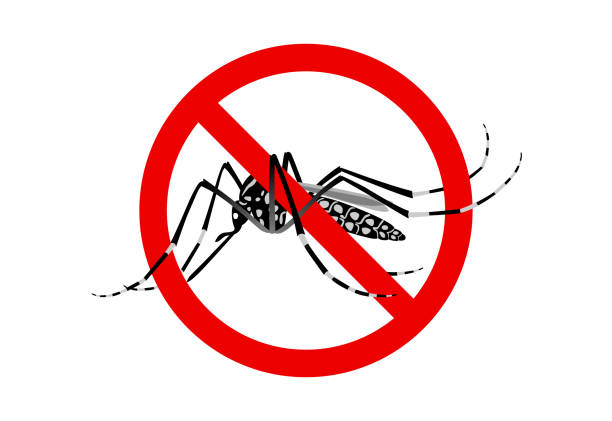 Understanding Dengue and Ways to Prevent It.